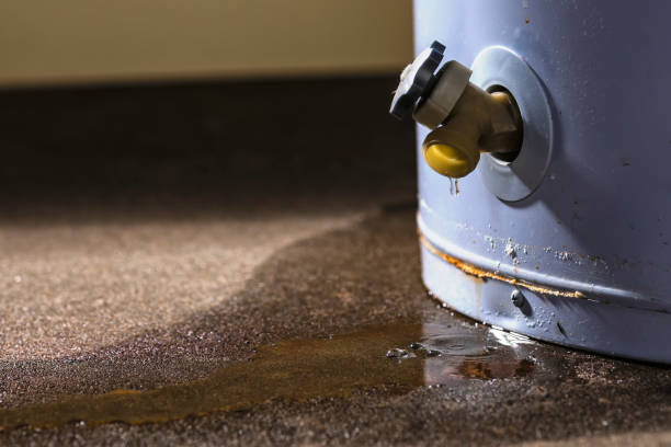 Best Professional water damage repair  in Young Harris, GA