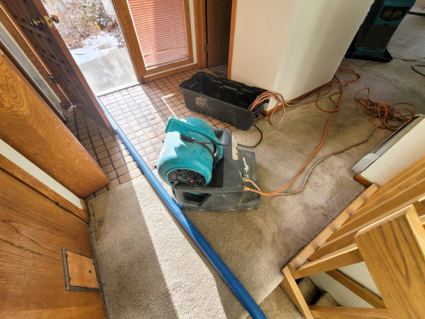 Best Flood restoration services  in Young Harris, GA