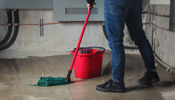 Best Water damage restoration company  in Young Harris, GA