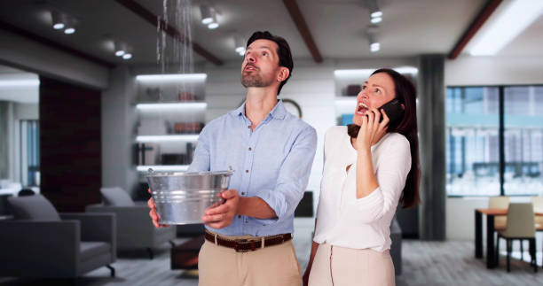 Best Fire Damage Restoration  in Young Harris, GA