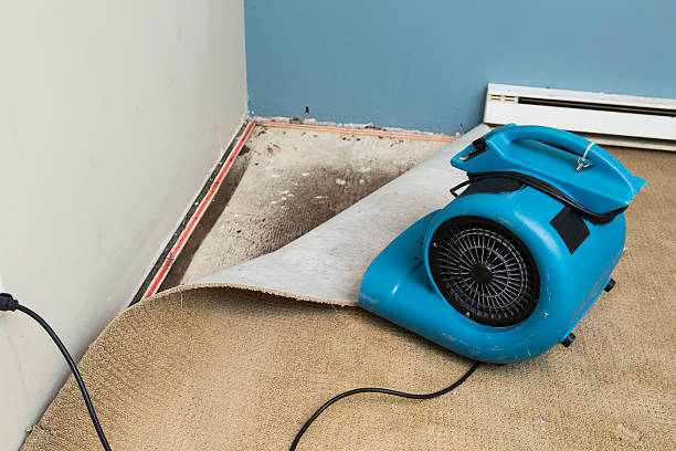 Best Local water damage restoration  in Young Harris, GA